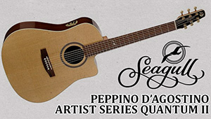 Seagull Peppino D'Agostino